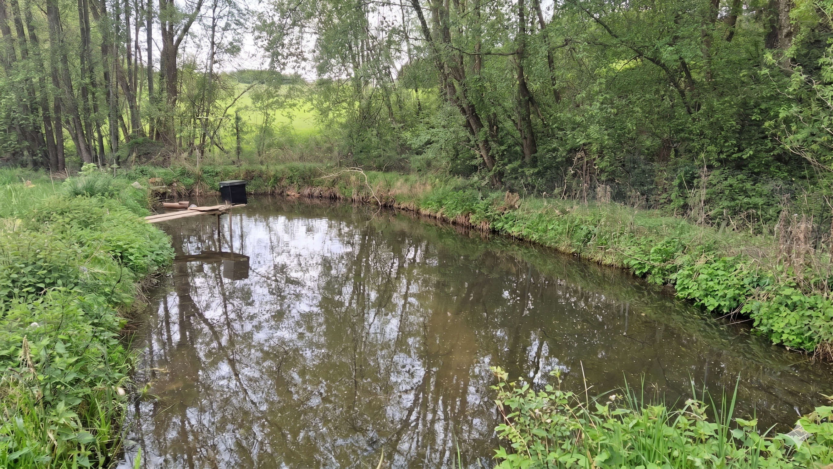 Wildbesatz im Fischereirevier Rohrbach