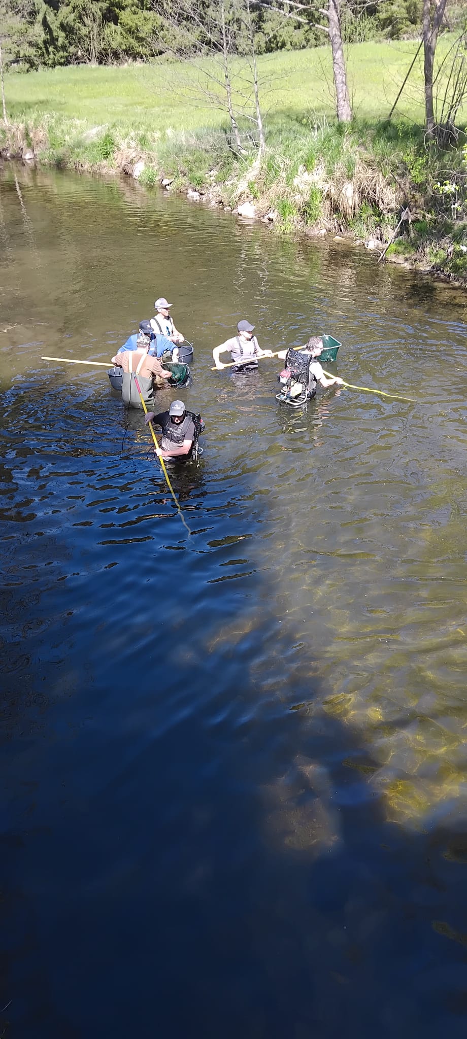 Elektrofischen von oben — Team im Einsatz