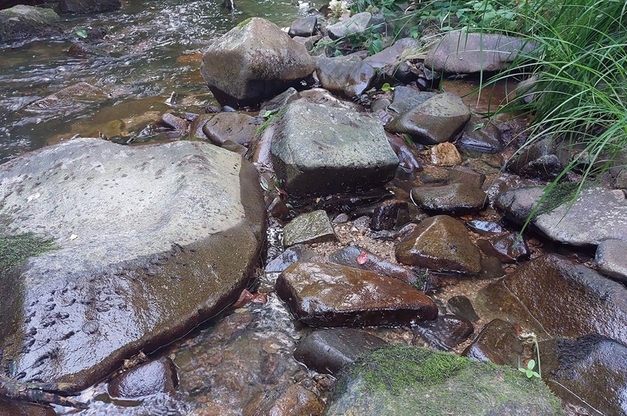Stein in der Kleinen Mühl mit sichtbaren Wasserstandsspuren