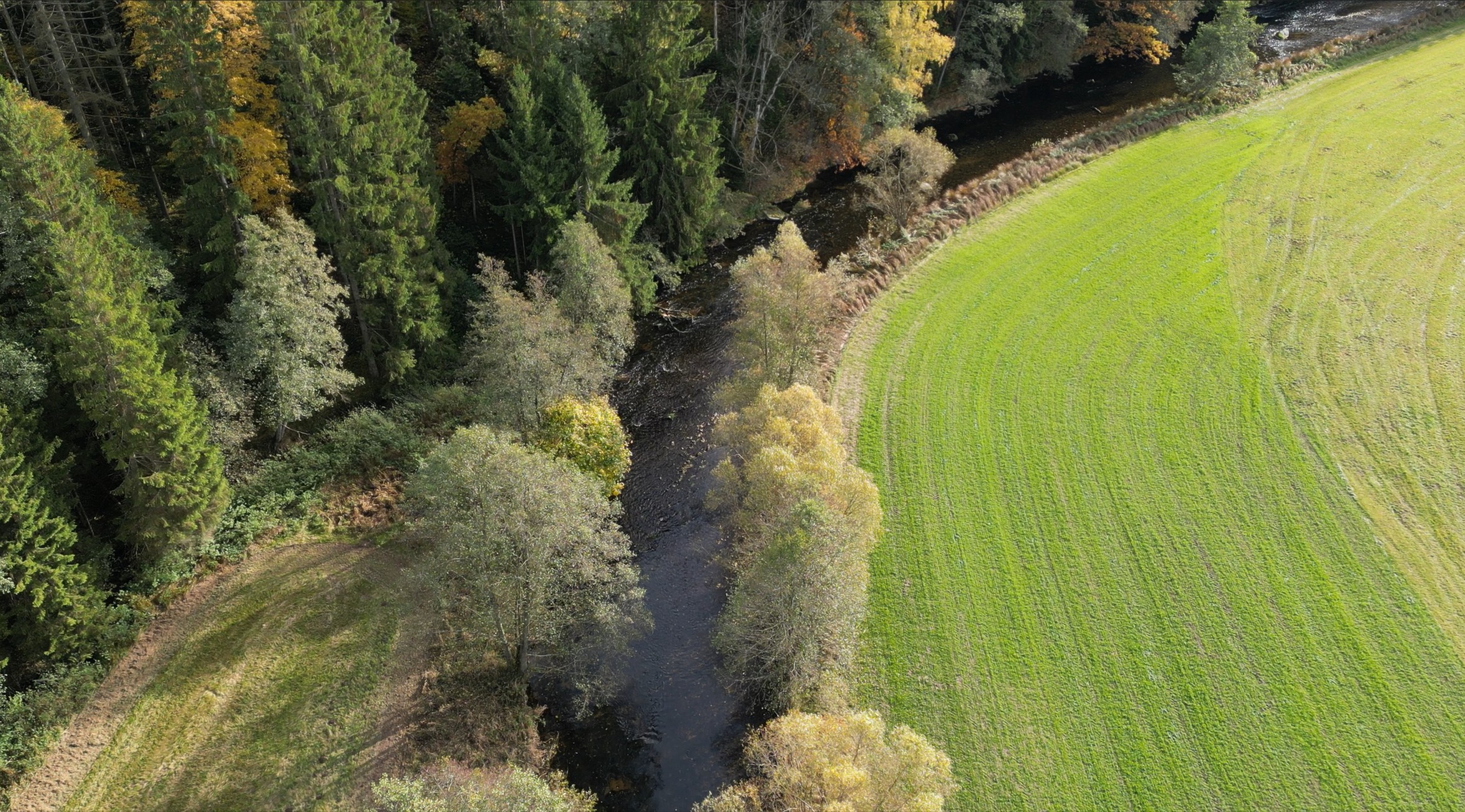 Große Mühl - Naturjuwel im Böhmerwald