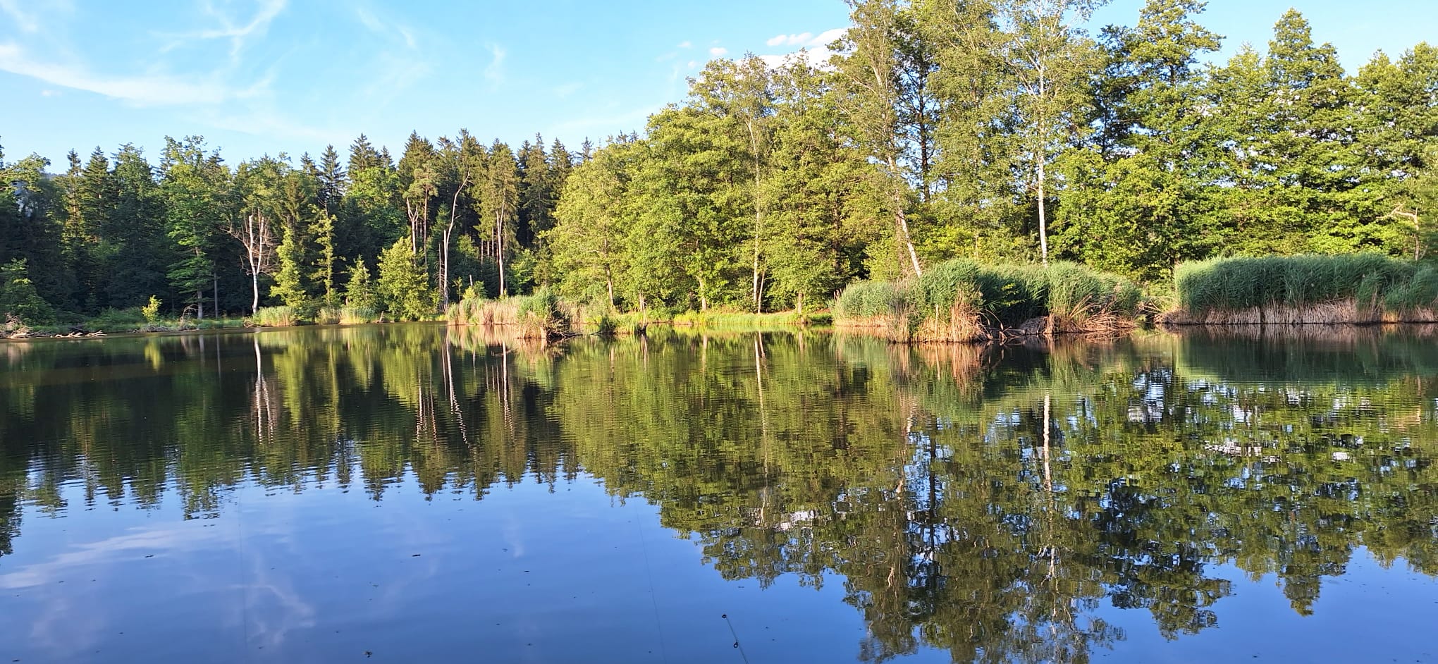 Teichlandschaft beim Stift Schlägl